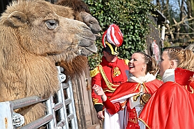 01 DuisburgerZoo 2025-02-25 07  Im Zoo und WDR - Im Duisburger Zoo waren es nicht Elefant, Tiger und Co. die wir besuchten, wir haben Kamel, Koala und Delphin mit einem Helau begrüßt. Danach ging es dann zum WDR in den Innenhafen. Dort besuchten wir die Lokalzeit Redaktion und das Studio. : DVPJ, Holger II, Phil II., Prinz Karneval, Prinz, Prinzessin Mia I., Hofmarschälle, Page, Pagen, Paginnen, HDK, Duisburg, Karneval, Helau, Tollität, Event, Session 2024, Session 2025, HDK Duisburg, Hauptausschuss, Hauptausschuss Karneval Duisburg, Duisburg ist echt