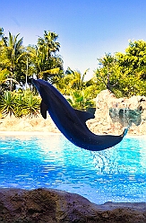 Teneriffa 2026-02-22 18  Teneriffa 2026 - Carnaval Puerto de la Cruz. Es war ein schöner, bunter und warmer Abschluss unserer fantastischen Prinzensession. : DVPJ, Toni I, Jules I., Prinz Karneval, Prinz, Prinzessin Aileen I., Hofmarschälle, Page, Pagen, Paginnen, HDK, Duisburg, Karneval, Helau, Tollität, Event, Session 2025, Session 2025, HDK Duisburg, Hauptausschuss, Hauptausschuss Karneval Duisburg, Duisburg ist echt