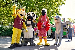 01 TagDerDemokratie 2025-09-06 10  Samstags-Tour, 6. September - Ein Samstag voller Abwechslung. Der erste Termin, „Tag der Demokratie“, war auf dem Burgplatz. Eine Veranstaltung der Stadt Duisburg, dem HDK und diversen Organisationen aus der Stadt. Danach hieß es „Herzlichen Glückwunsch zum 80. Geburtstag“ liebe Irma. Danach ging es zur Platzanlage des TUS Viktoria 06 in Buchholz zum Benefiz-Spiel gegen die Traditionsmannschaft von Schalke 04. Im Sermer „Landgasthof-Schenke“ trafen wir den Elferrat der KG Südstern und wir sagten Hallo bei den „Sermer Damenstößchen“. Abschluss des Tages war dann auf dem 40. Geburtstag von Christian in der „MaRa Event Location“. : DVPJ, Toni I, Jules I., Prinz Karneval, Prinz, Prinzessin Aileen I., Hofmarschälle, Page, Pagen, Paginnen, HDK, Duisburg, Karneval, Helau, Tollität, Event, Session 2025, Session 2025, HDK Duisburg, Hauptausschuss, Hauptausschuss Karneval Duisburg, Duisburg ist echt