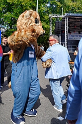 01 TagDerDemokratie 2025-09-06 11  Samstags-Tour, 6. September - Ein Samstag voller Abwechslung. Der erste Termin, „Tag der Demokratie“, war auf dem Burgplatz. Eine Veranstaltung der Stadt Duisburg, dem HDK und diversen Organisationen aus der Stadt. Danach hieß es „Herzlichen Glückwunsch zum 80. Geburtstag“ liebe Irma. Danach ging es zur Platzanlage des TUS Viktoria 06 in Buchholz zum Benefiz-Spiel gegen die Traditionsmannschaft von Schalke 04. Im Sermer „Landgasthof-Schenke“ trafen wir den Elferrat der KG Südstern und wir sagten Hallo bei den „Sermer Damenstößchen“. Abschluss des Tages war dann auf dem 40. Geburtstag von Christian in der „MaRa Event Location“. : DVPJ, Toni I, Jules I., Prinz Karneval, Prinz, Prinzessin Aileen I., Hofmarschälle, Page, Pagen, Paginnen, HDK, Duisburg, Karneval, Helau, Tollität, Event, Session 2025, Session 2025, HDK Duisburg, Hauptausschuss, Hauptausschuss Karneval Duisburg, Duisburg ist echt