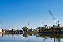 RheintourMoewe 2025-09-28 16  Alle in einem Boot - Die  Bonner Jubiläumssession schlägt schon hohe Wellen bei der Rundfahrt auf mit „MS Möwe“ auf dem Rhein. Zum fünften Mal folgte ein Prinzenpaar der Einladung. Roland I. und Stephanie III. , Vertreter der Rot-Weißen und Blau-Weißen Düsseldorfer Prinzengarde und natürlich die  Des. Prinzencrew mit Toni I. hatten ein schönen Nachmittag auf dem Rhein. : DVPJ, Toni I, Jules I., Prinz Karneval, Prinz, Prinzessin Aileen I., Hofmarschälle, Page, Pagen, Paginnen, HDK, Duisburg, Karneval, Helau, Tollität, Event, Session 2025, Session 2025, HDK Duisburg, Hauptausschuss, Hauptausschuss Karneval Duisburg, Duisburg ist echt